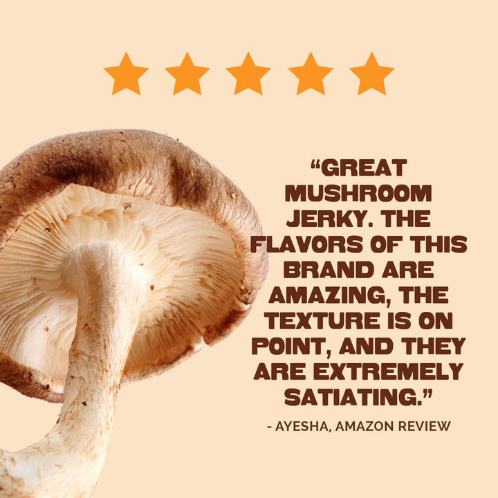 Pan's Mushroom Jerky - 2.2oz Curry