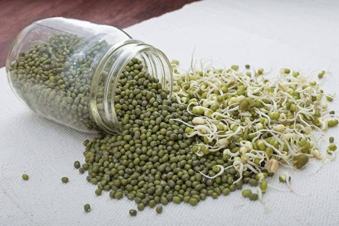 Organic Mung Beans – Whole Dried Beans, Green Gram, Raw