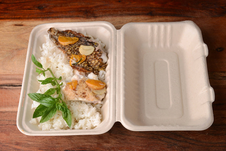 Compostable Clamshell Take Out Food Container 6x9x3